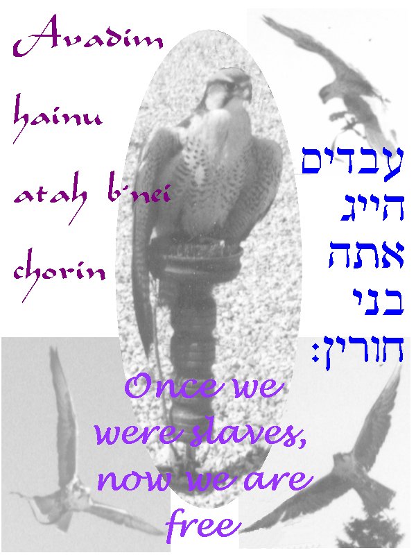 Avadim Hayinu ... Once we were slaves